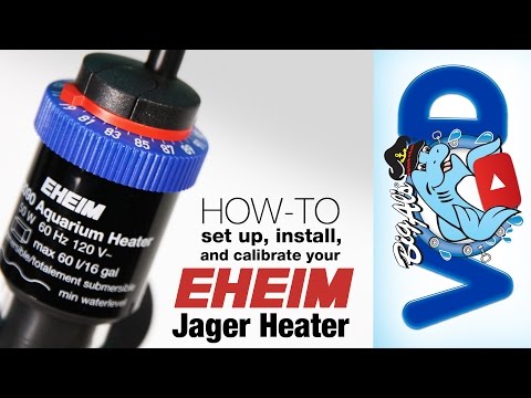 How to Set Up, Install, and Calibrate your Eheim Jager Heater | BigAlsPets.com