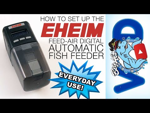 How To Set Up the Eheim Feed-Air Digital Automatic Feeder | BigAlsPets.com