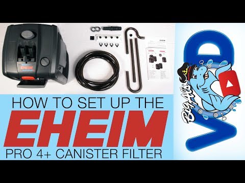 How To Set Up the Eheim Pro 4+ Canister Filter | BigAlsPets.com