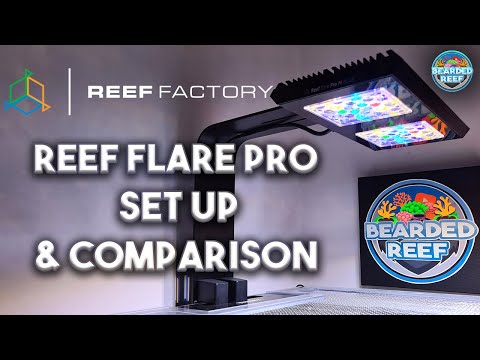 How to set up the Reef Factory Reef Flare Pro Blue M on the reef factory app, Smart lighting.