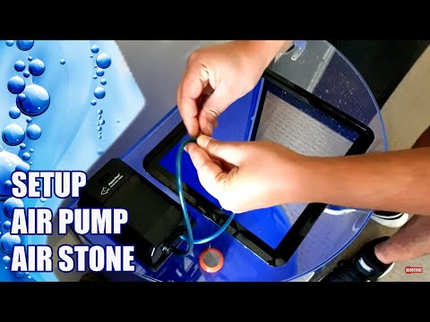 How To: Setup an Air Pump and Air Stone in an Aquarium