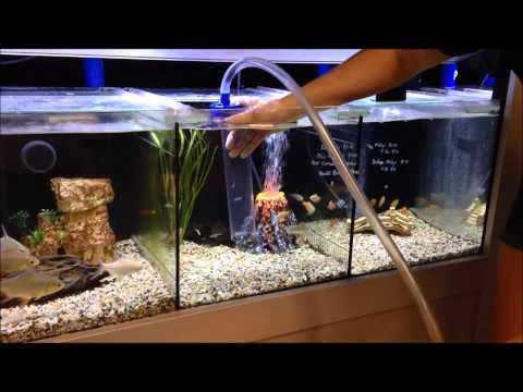 How to use a gravel vac to vacuum your aquarium