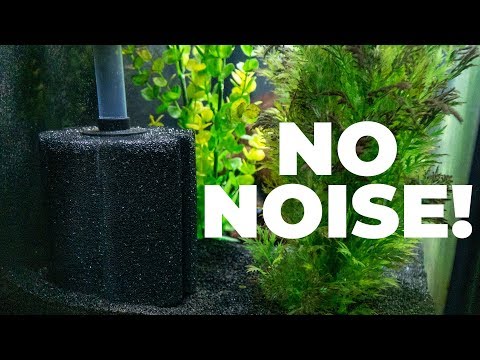How To Use A Sponge Filter With No Air Pump (Powerheads!)