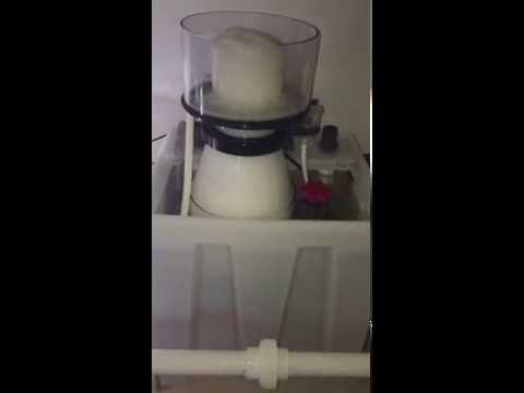 Howie's Reef – Reef Octopus 5000 SSS  Skimmer in Seamless Sump