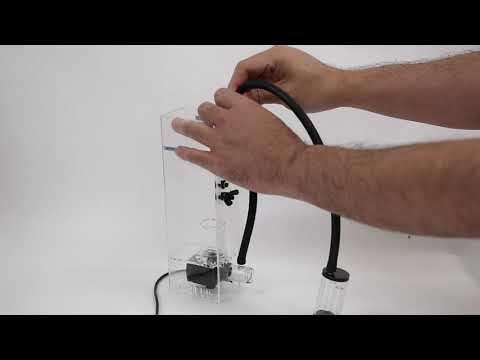 FAQ Unclog Airline BioSkim DC Protein Skimmer