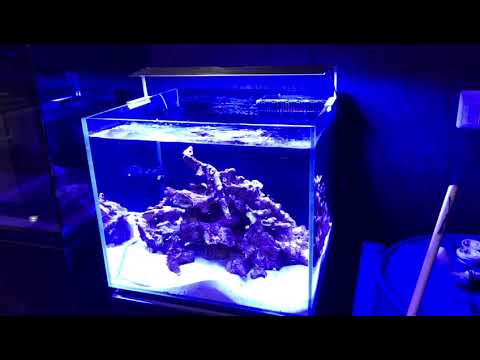 MicMol – Aqua Gift New Aquarium Shop (アクアギフト) will coming soon, welcome to visit.