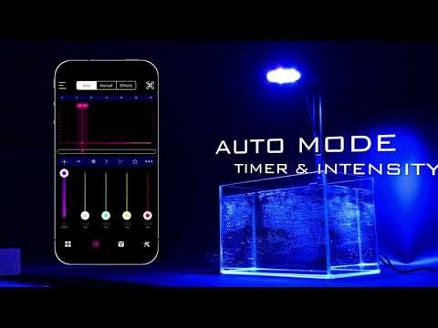 MicMol WiFi Controller 2.0 Settings