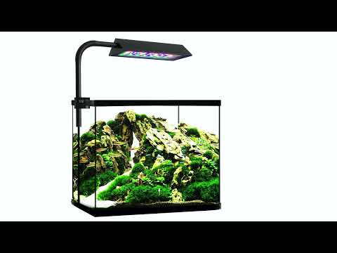 MicMol – PRISM Planted