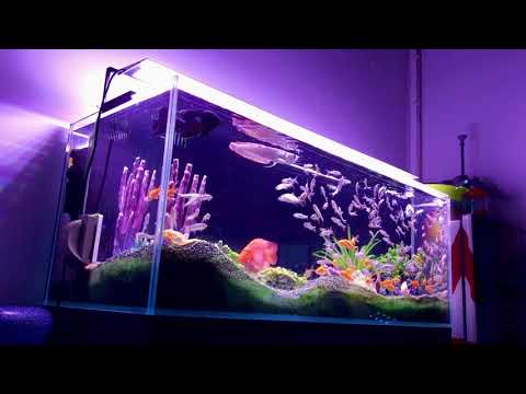 MicMol – Aqua Air 1200 Fish Tank