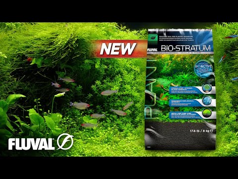 *NEW* Fluval Bio-Stratum | Volcanic Soil for Planted Aquariums