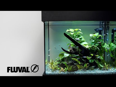Fluval Shaker Aquarium & Cabinet Sets