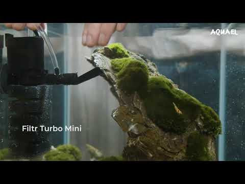 Aquael Shrimp Set – Piękny w każdym świetle
