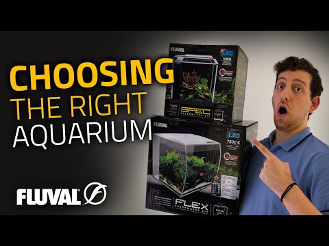 HOW TO: Choose the RIGHT Aquarium!
