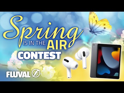 CONTEST | Spring is in the Air 2022