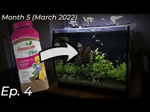 I Caved In And Used Fertilizers | Dirted Fluval Flex 15 Gallon Series Month 5 (Days 111 – 134)