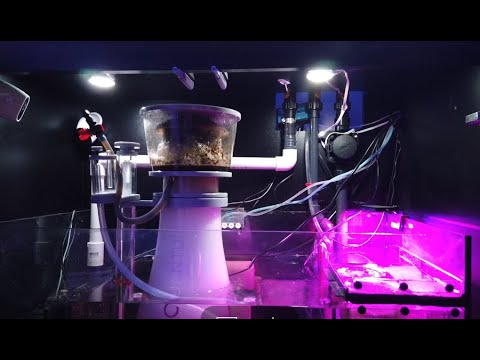 I removed the Red Sea Reefer RSK600 skimmer