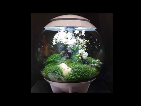 ibarakishunsoen biOrb air
