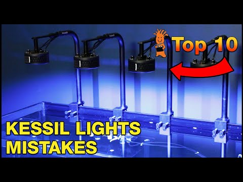 If You Have a Kessil A360X, AP9X or Refugium Light, on Your Reef Tank You Need to See This!