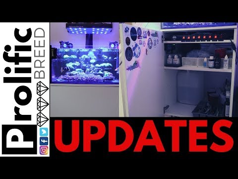 IKEA REEF TANK STAND / CABINET HACK FOR INNOVATIVE MARINE LAGOON 25 UPDATE