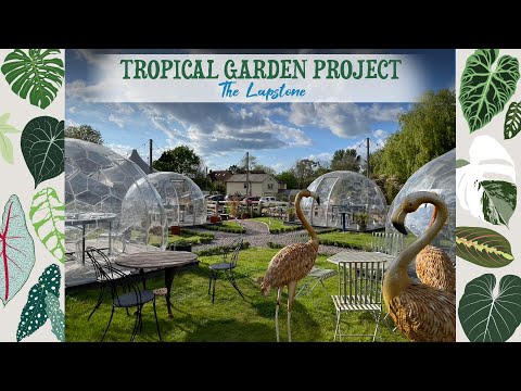 I'm Designing A Tropical Garden For My Local Pub! ??☀️??