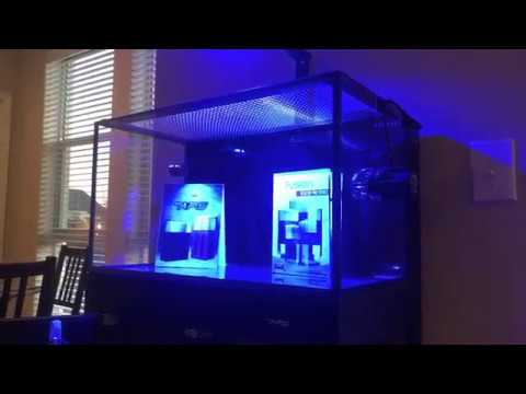 Initial Impressions Innovative Marine NUVO Fusion Pro 20