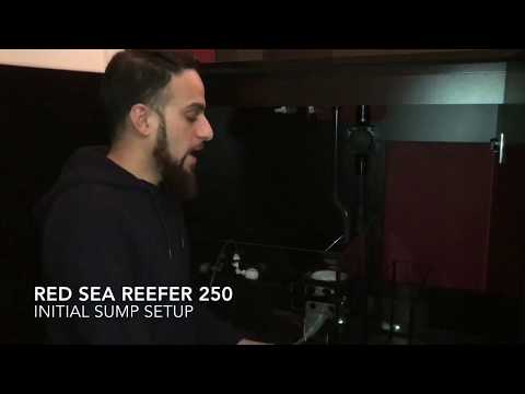 Initial Sump Set Up For Red Sea Reefer 250 Saltwater Marine Aquarium
