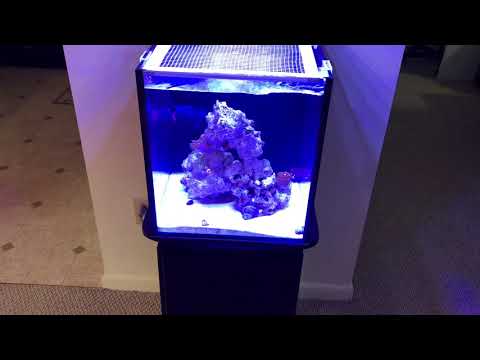 Innovative Marine 10G – Update