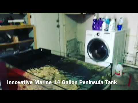 Innovative Marine 14 Gallon AIO Build