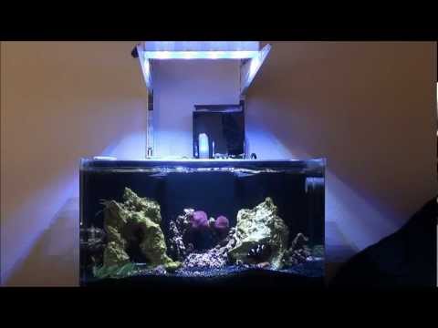 Innovative Marine 16 Nano Nuvo month 3