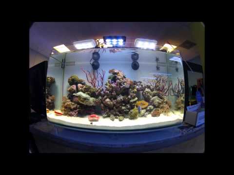 Innovative Marine 16 NUVO