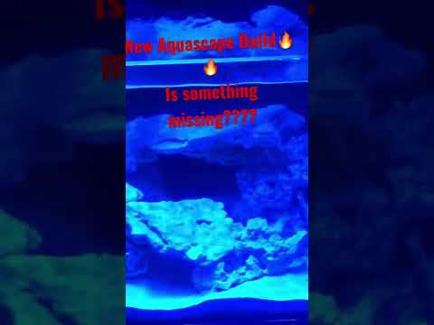 Innovative Marine 20 gallon Aquascape #reeftank #nanoreeftank #fishtank