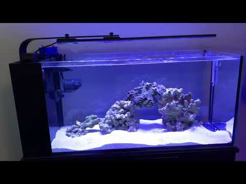 Innovative Marine 20 Peninsula Softie Reef Build (Part 1 – General Overview)