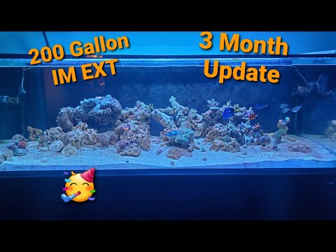 Innovative Marine 200 Gallon EXT| Ep. 10| 3 Month Update