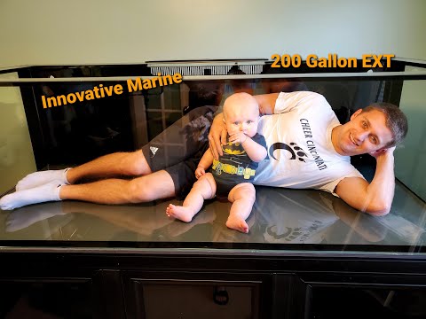 Innovative Marine 200 Gallon EXT| Ep. 2| Moving the Tank