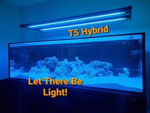 Innovative Marine 200 Gallon EXT| Ep. 5| Hanging the Aquatic Life T5 Hybrid