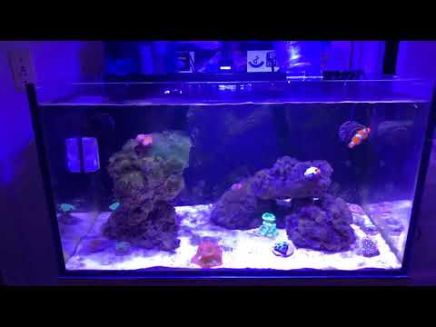 Innovative marine 20G