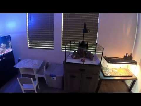 Innovative Marine 25 gallon Lagoon style. 20 Long upgrade..