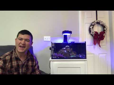 Innovative Marine 25 Gallon Lagoon Update