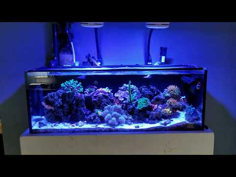 Innovative Marine 30 Gal Long Update