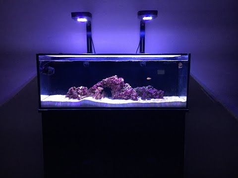 Innovative Marine 30L Tank Update 4