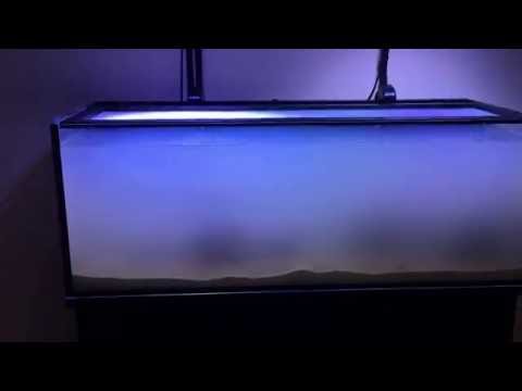 Innovative marine 30L vlog
