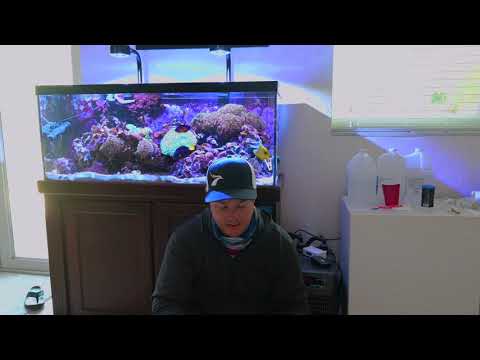 Innovative Marine 400Watt Helio Aquarium Heater Install Review Part 2 with single heating element.