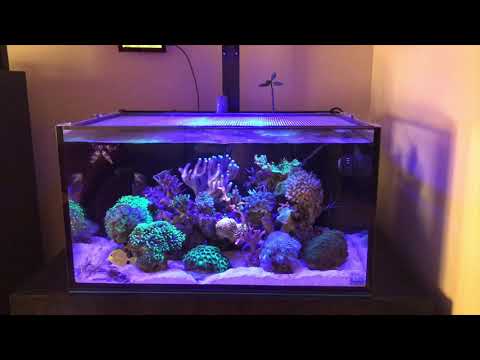 Innovative Marine 50 Fusion Lagoon