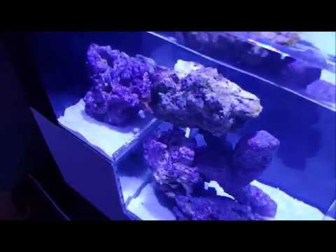Innovative Marine Abyss Drop-off Panorama