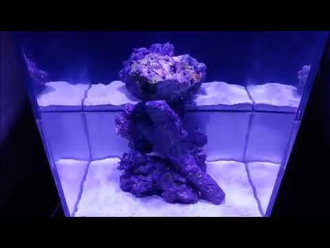 Innovative Marine Abyss Drop off Panorama