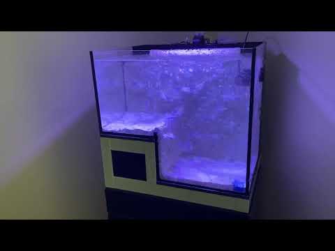 Innovative Marine Abyss Panorama Aquarium