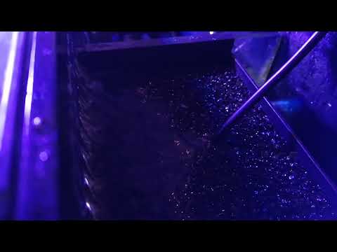 Innovative Marine Aquashield UV sterilizer review on SR series tank