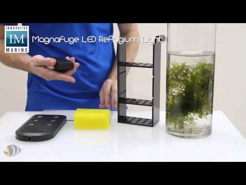 Innovative Marine Auqa Gadgets