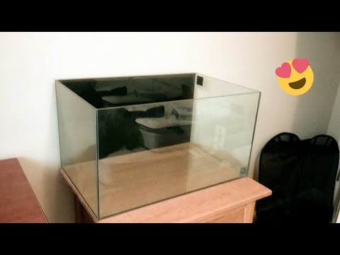 Innovative Marine Black Nuvo 20G Tank