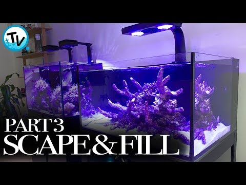 Innovative Marine Build Part 3 – Scape and Fill!